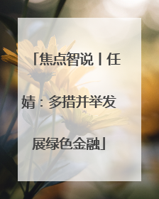 焦点智说丨任婧：多措并举发展绿色金融