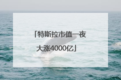 特斯拉市值一夜大涨4000亿
