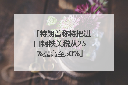 特朗普称将把进口钢铁关税从25%提高至50%