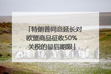 特朗普同意延长对欧盟商品征收50%关税的最后期限