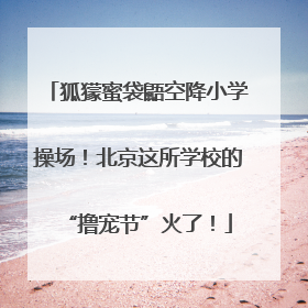 狐獴蜜袋鼯空降小学操场！北京这所学校的“撸宠节”火了！