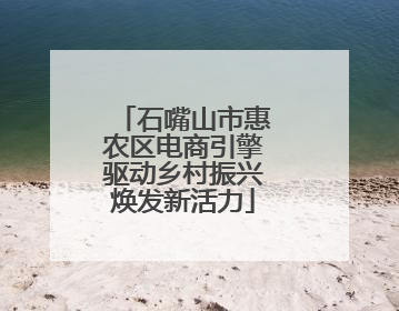 石嘴山市惠农区电商引擎驱动乡村振兴焕发新活力