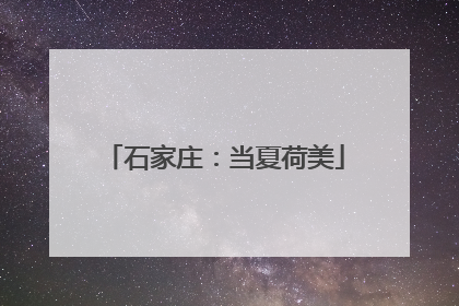 石家庄：当夏荷美