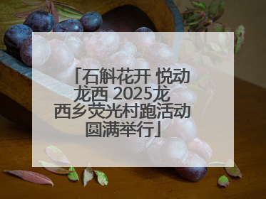 石斛花开 悦动龙西 2025龙西乡荧光村跑活动圆满举行