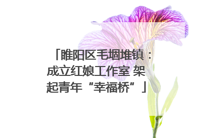 睢阳区毛堌堆镇：成立红娘工作室 架起青年“幸福桥”