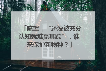 瞭望｜“还没被充分认知就难觅其踪”，谁来保护新物种？