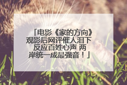 电影《家的方向》观影后网评催人泪下 反应百姓心声 两岸统一成最强音！