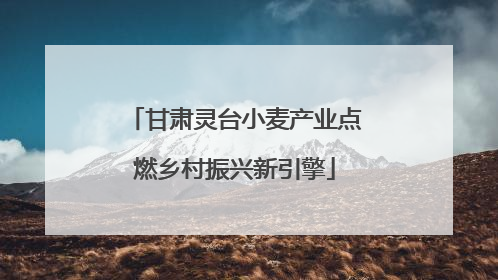 甘肃灵台小麦产业点燃乡村振兴新引擎