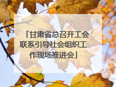 甘肃省总召开工会联系引导社会组织工作现场推进会