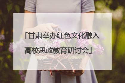 甘肃举办红色文化融入高校思政教育研讨会