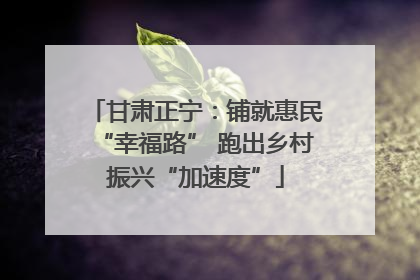 甘肃正宁：铺就惠民“幸福路” 跑出乡村振兴“加速度”