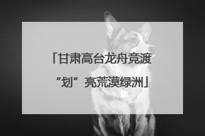 甘肃高台龙舟竞渡“划”亮荒漠绿洲