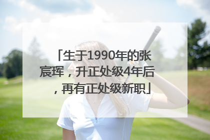 生于1990年的张宸珲，升正处级4年后，再有正处级新职