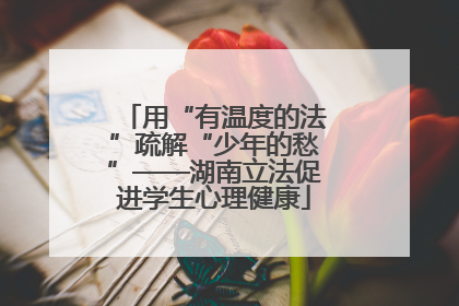 用“有温度的法”疏解“少年的愁”——湖南立法促进学生心理健康