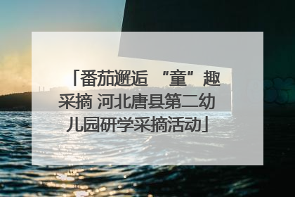 番茄邂逅 “童”趣采摘 河北唐县第二幼儿园研学采摘活动