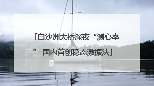 白沙洲大桥深夜“测心率” 国内首创稳态激振法