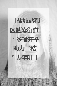 盐城盐都区盐渎街道：多措并举 助力“秸”尽其用