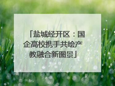 盐城经开区：国企高校携手共绘产教融合新图景