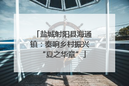 盐城射阳县海通镇：奏响乡村振兴“夏之华章”