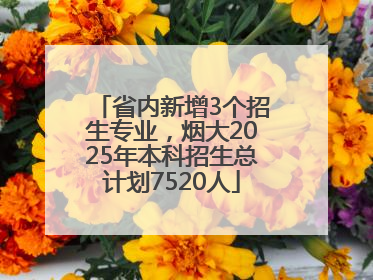 省内新增3个招生专业，烟大2025年本科招生总计划7520人