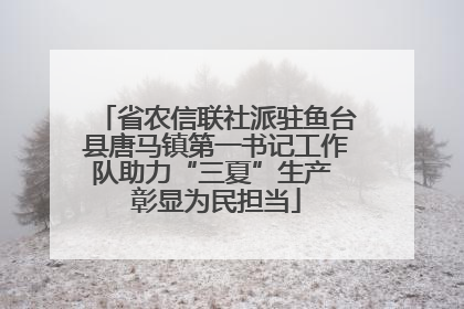 省农信联社派驻鱼台县唐马镇第一书记工作队助力“三夏”生产 彰显为民担当