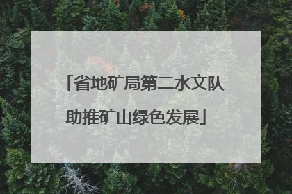 省地矿局第二水文队助推矿山绿色发展