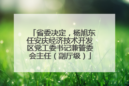 省委决定，杨旭东任安庆经济技术开发区党工委书记兼管委会主任（副厅级）