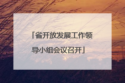 省开放发展工作领导小组会议召开