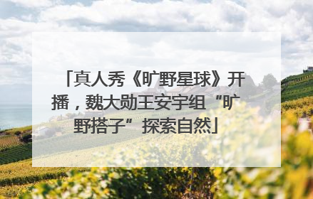 真人秀《旷野星球》开播，魏大勋王安宇组“旷野搭子”探索自然