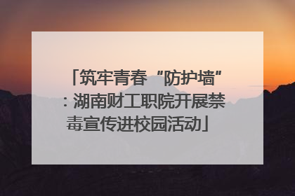 筑牢青春“防护墙”：湖南财工职院开展禁毒宣传进校园活动