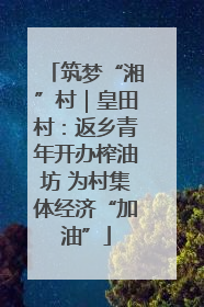 筑梦“湘”村｜皇田村：返乡青年开办榨油坊 为村集体经济“加油”