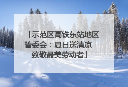 示范区高铁东站地区管委会：夏日送清凉 致敬最美劳动者