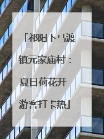 祁阳下马渡镇元家庙村：夏日荷花开 游客打卡热