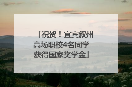 祝贺！宜宾叙州高场职校4名同学获得国家奖学金