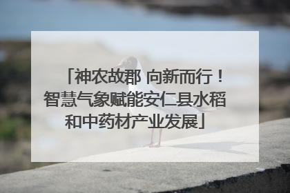 神农故郡 向新而行！智慧气象赋能安仁县水稻和中药材产业发展