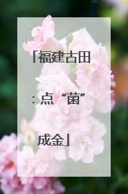 福建古田：点“菌”成金