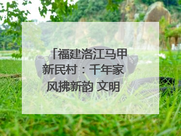 福建洛江马甲新民村：千年家风拂新韵 文明之花绽乡野