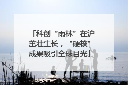 科创“雨林”在沪茁壮生长，“硬核”成果吸引全球目光
