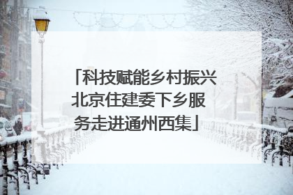 科技赋能乡村振兴 北京住建委下乡服务走进通州西集