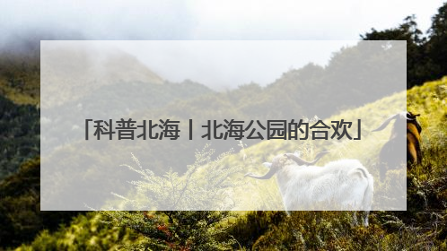 科普北海丨北海公园的合欢
