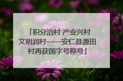 积分治村 产业兴村 文明润村——安仁县源田村再获国字号称号