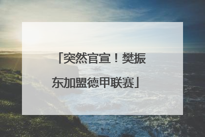 突然官宣！樊振东加盟德甲联赛
