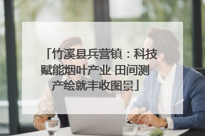 竹溪县兵营镇：科技赋能烟叶产业 田间测产绘就丰收图景