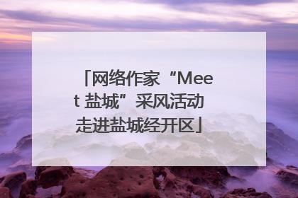 网络作家“Meet 盐城”采风活动走进盐城经开区