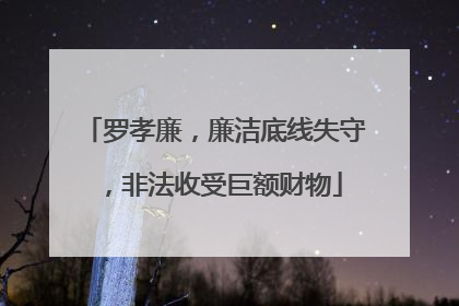罗孝廉，廉洁底线失守，非法收受巨额财物