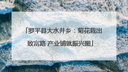 罗平县大水井乡：菊花栽出致富路 产业铺就振兴图