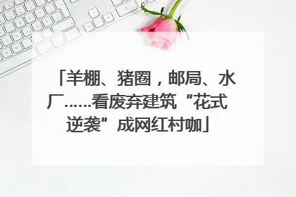 羊棚、猪圈，邮局、水厂……看废弃建筑“花式逆袭”成网红村咖