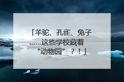 羊驼、孔雀、兔子……这些学校藏着 “动物园”？！