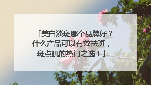 美白淡斑哪个品牌好？什么产品可以有效祛斑，斑点肌的热门之选！