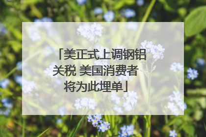 美正式上调钢铝关税 美国消费者将为此埋单
